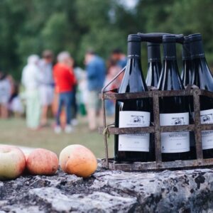 Côte-Rôtie Cuvée Champon's Domaine Pichat 2023
